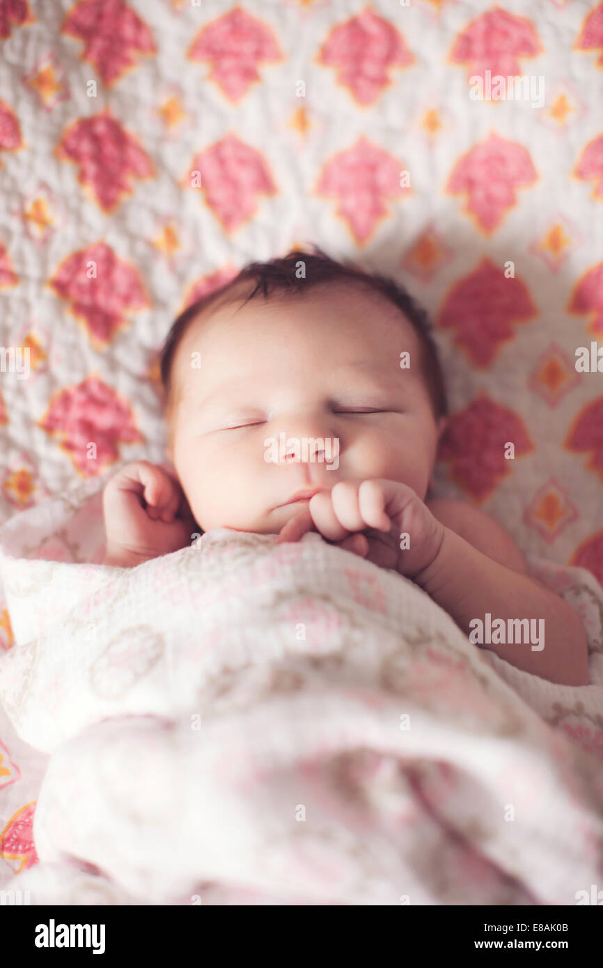 Sleeping offspring hi-res stock photography and images - Alamy