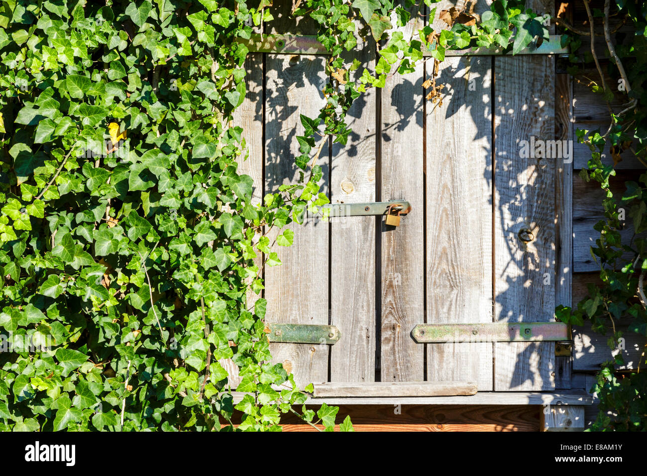 Rustic Window With Wooden Shutters High Resolution Stock Photography
