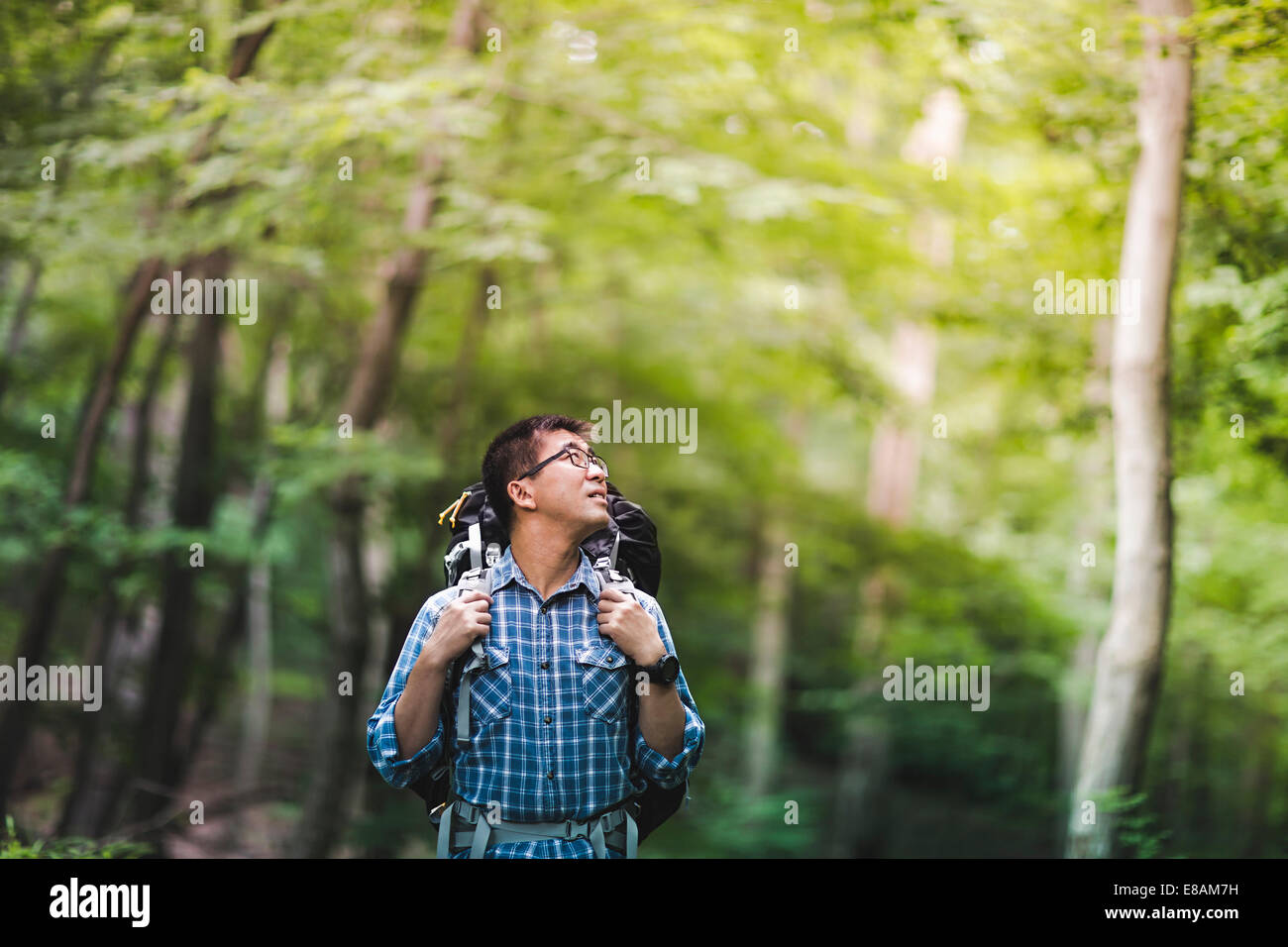 Hiker with backpack in forest Stock Photo