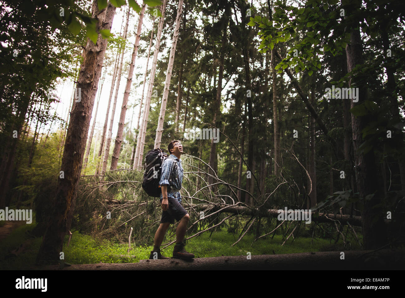 Mature man hiking in forest Stock Photo