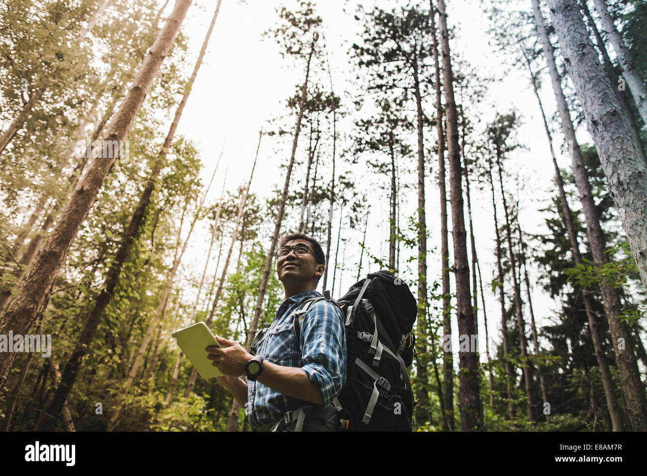Hiker in forest using digital tablet Stock Photo