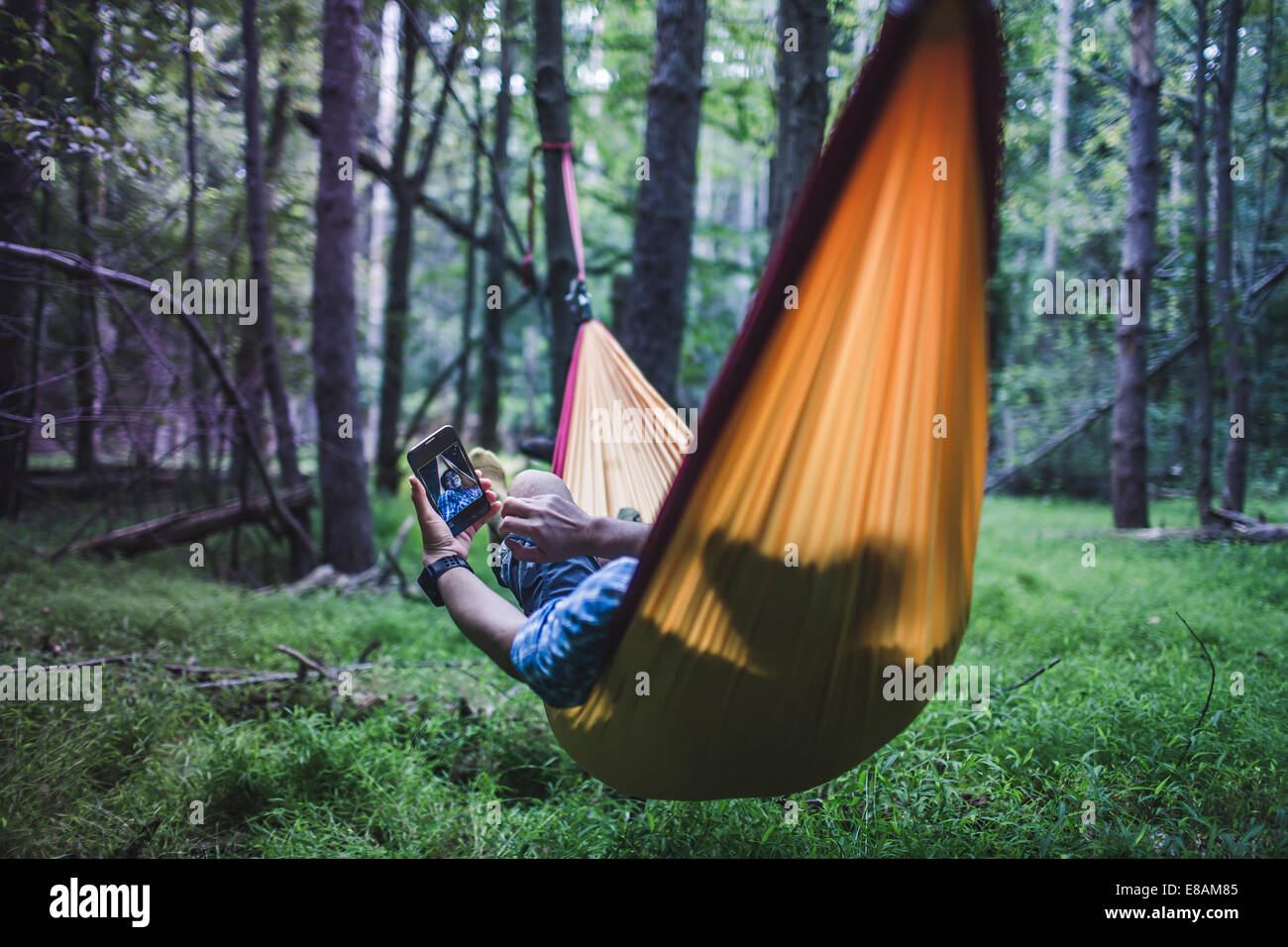 Hiker lying in hammock in forest using digital device Stock Photo