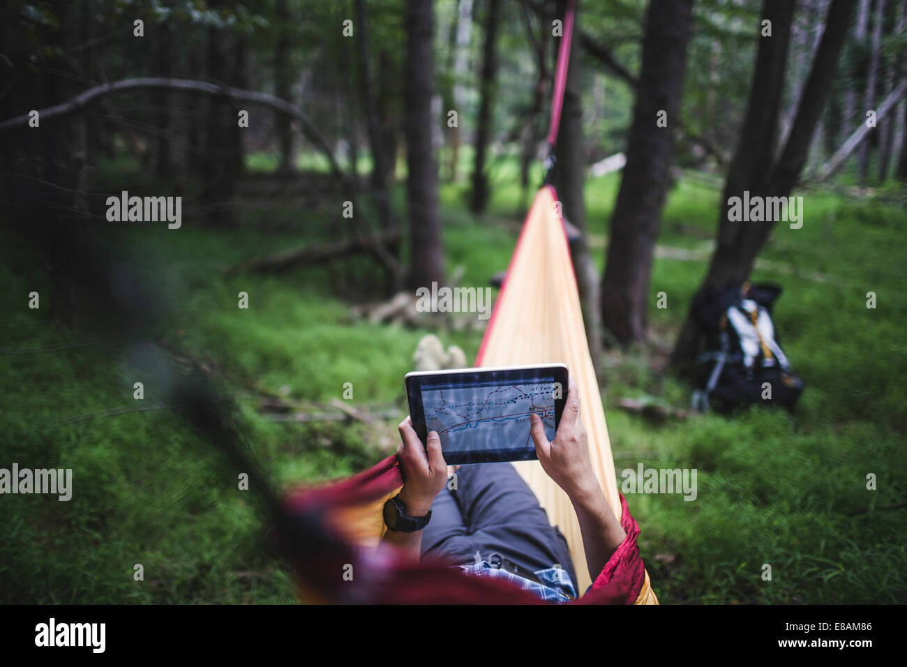 Hiker lying in hammock in forest looking at map on digital tablet Stock Photo