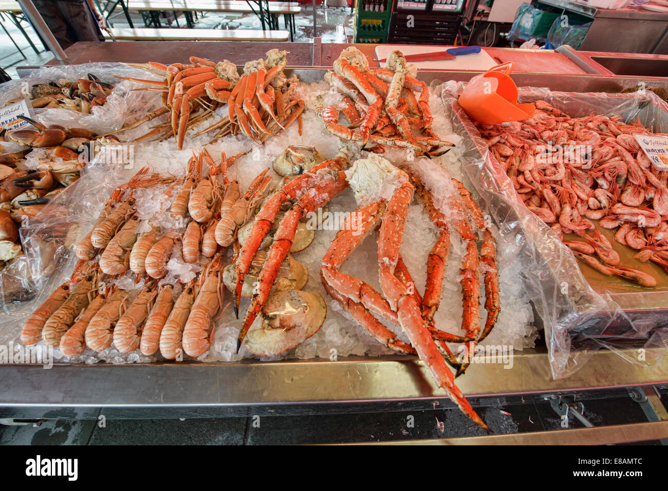 giant shrimp and lobster in the seafood market in Bergen, Norway ...