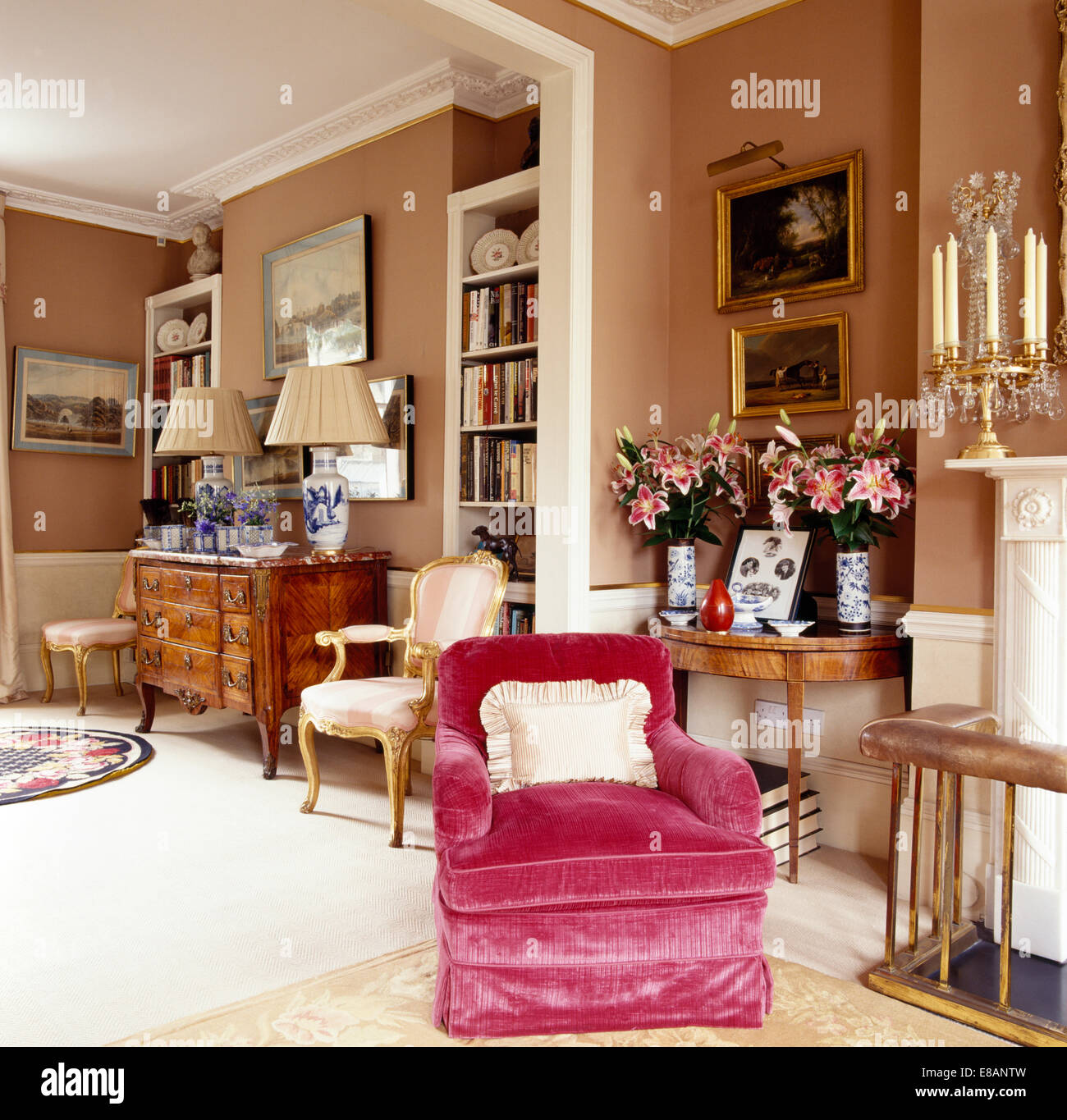 Pink velvet upholstered armchair in elegant townhouse living room with ...