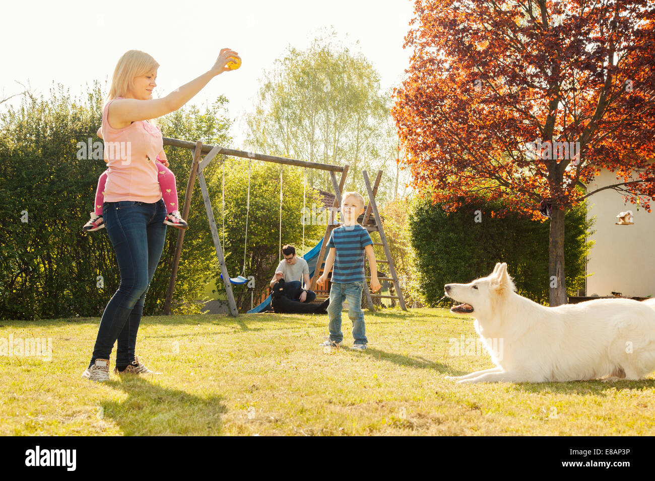 Family in garden training dog Stock Photo Alamy