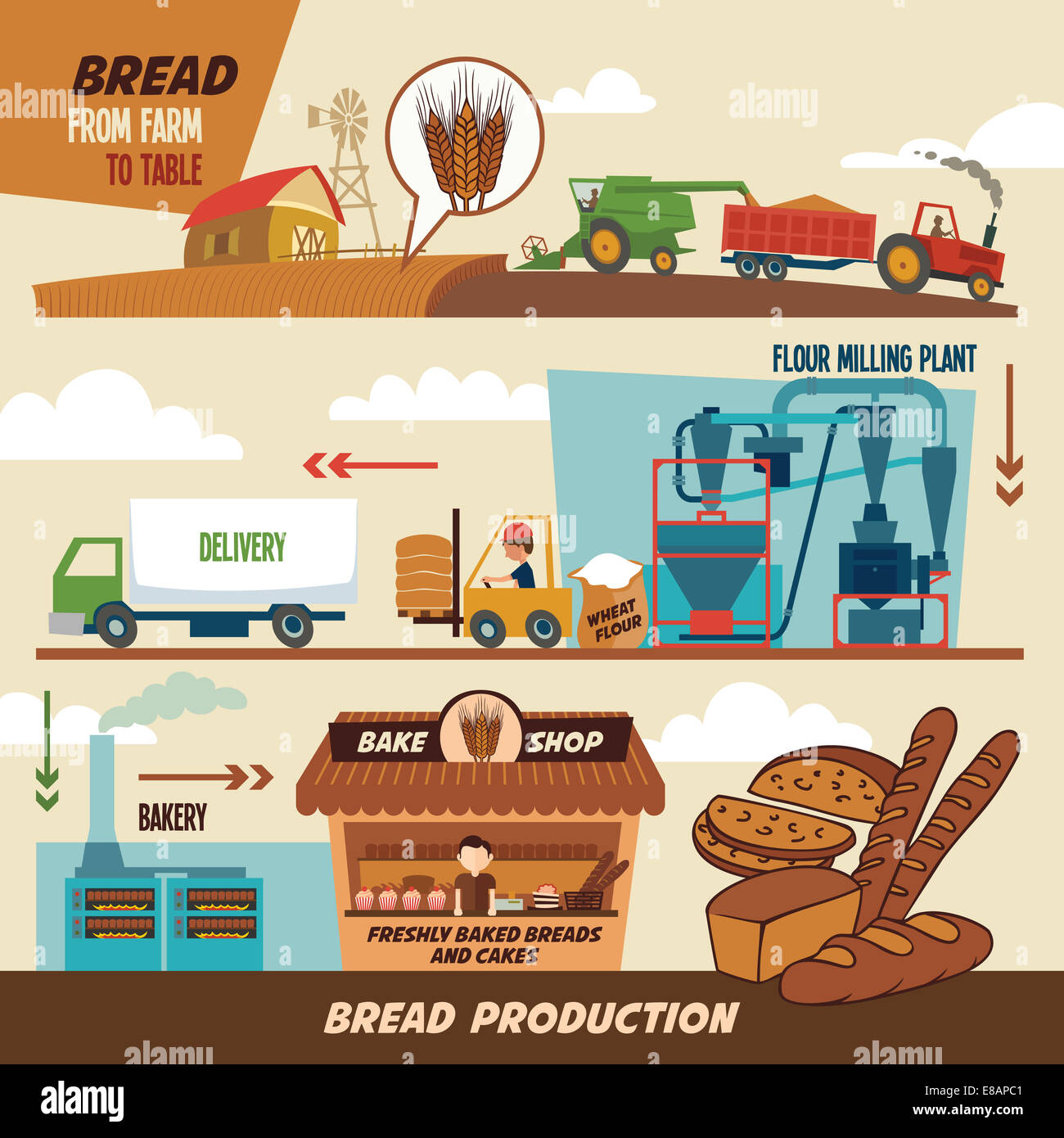 Stages of production of bread. From wheat harvest to freshly baked