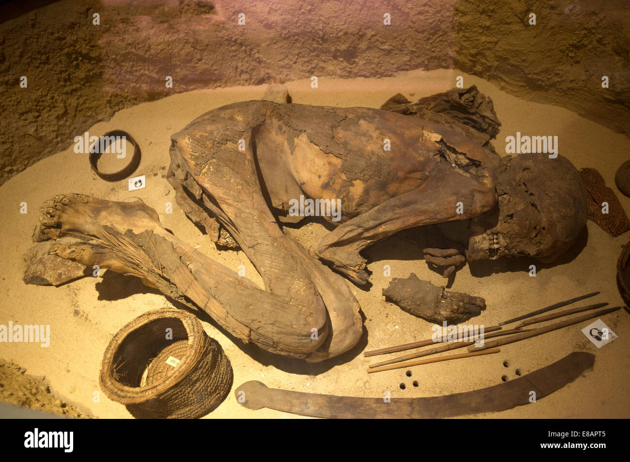 Italy Piedmont Turin Egyptian Museum room of predynastic period Human remains Stock Photo