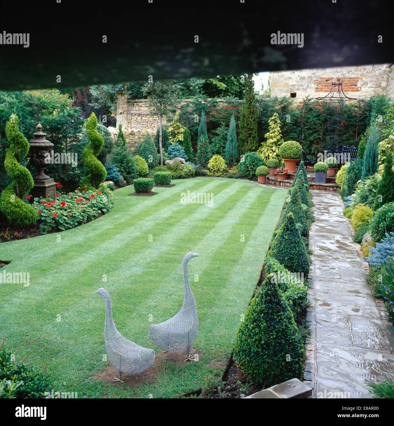 Two wire work goose statues on lawn surrounded by topiary trees in well maintained walled garden with paved path Stock Photo
