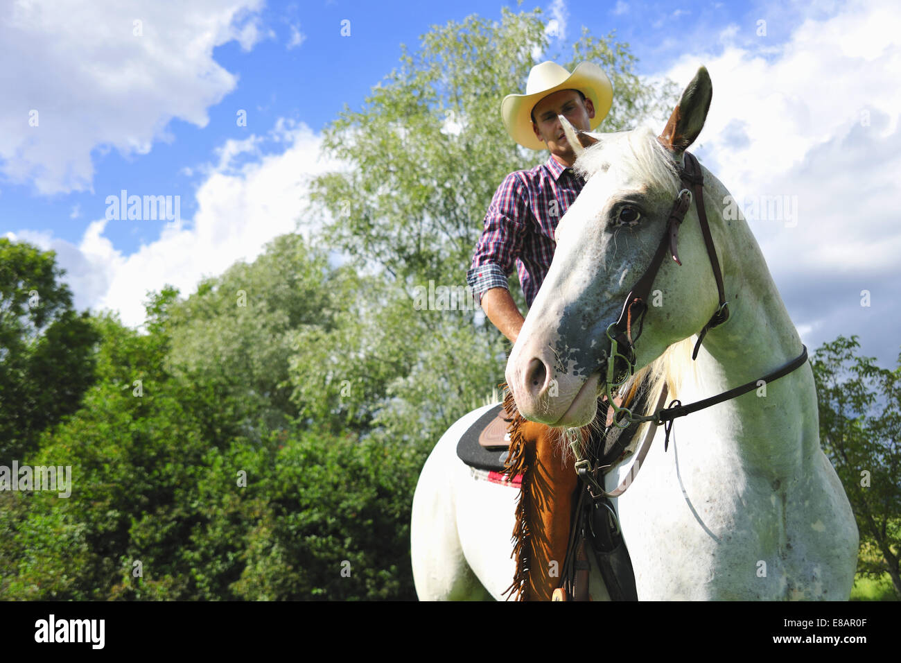 Low angle portrait of young man in cowboy gear on horse Stock Photo