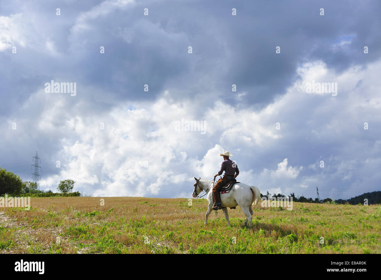 Young man in cowboy gear riding horse in field Stock Photo