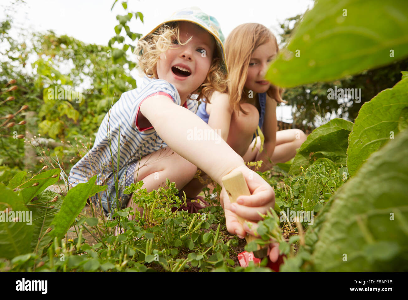 Two sisters crouching and digging in garden Stock Photo