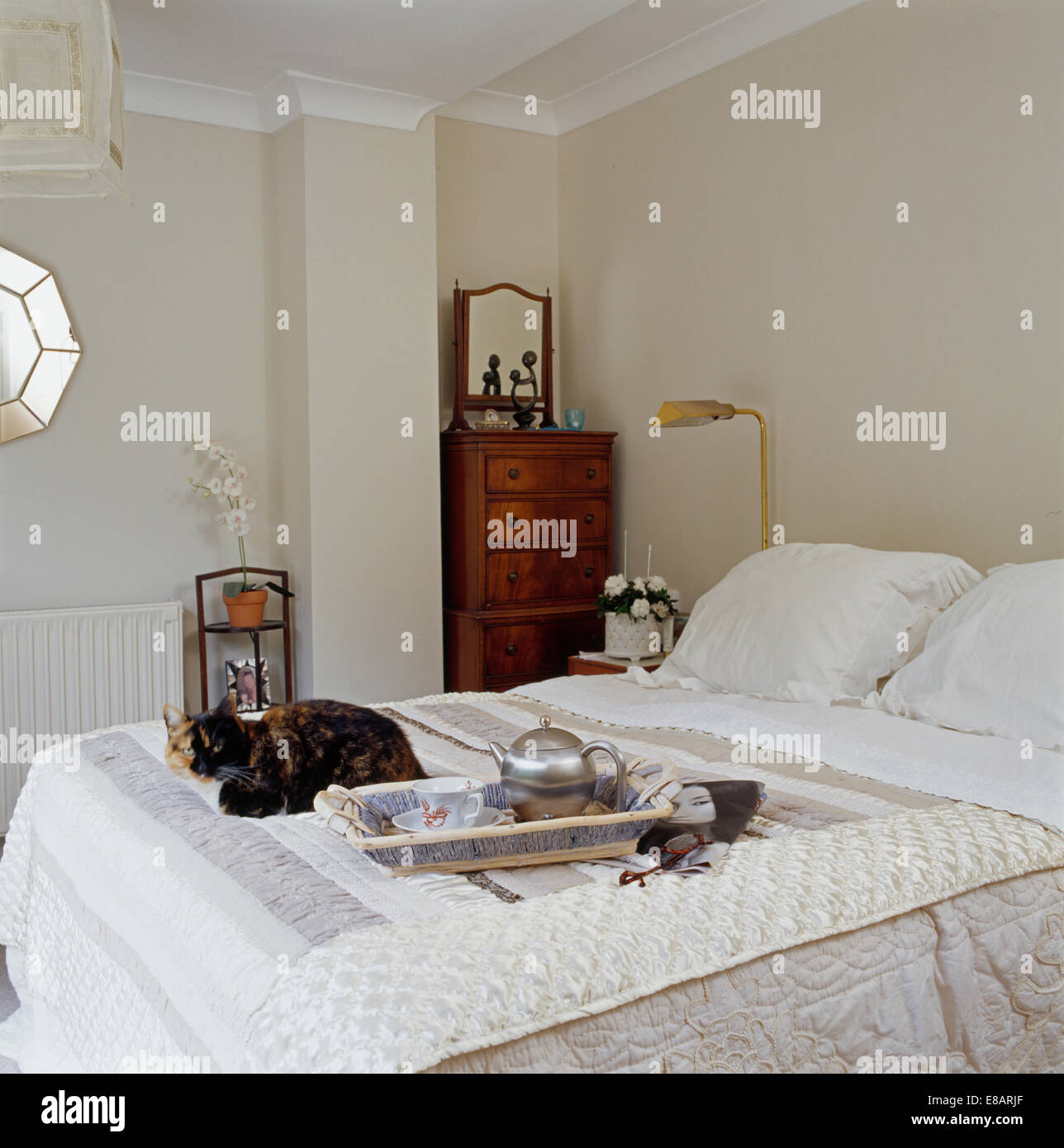 Breakfast Tray On Bed With Cream Quilt And White Pillows In