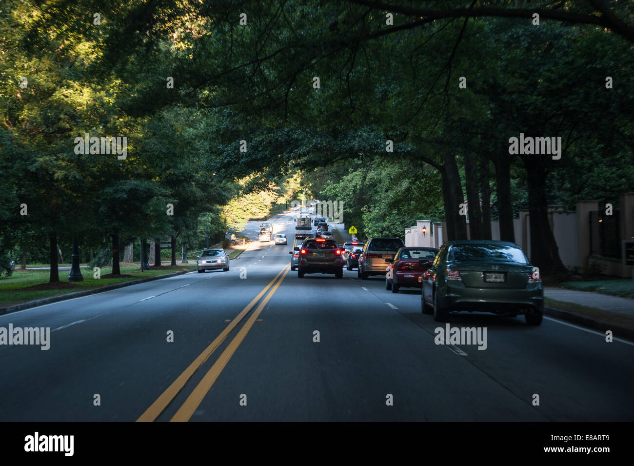 Early morning commute into Atlanta under a canopy of trees on Ponce de Leon Avenue.  Atlanta, Georgia, USA. Stock Photo