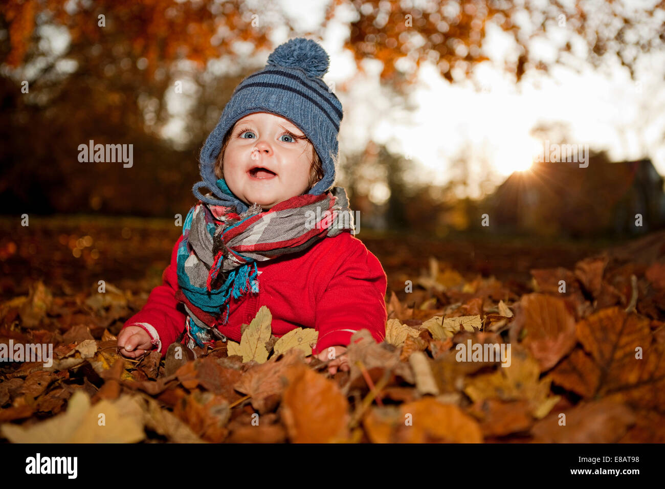 Young girl sitting in autumn leaves Stock Photo - Alamy