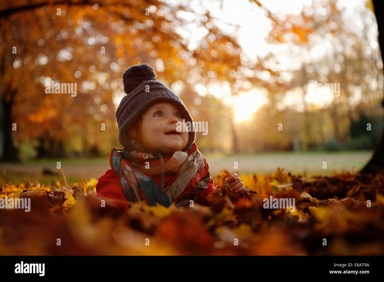 Young girl sitting in autumn leaves Stock Photo - Alamy