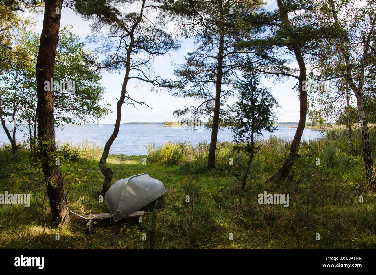 Old rowing boat up side down by the coast in a green forest Stock Photo ...