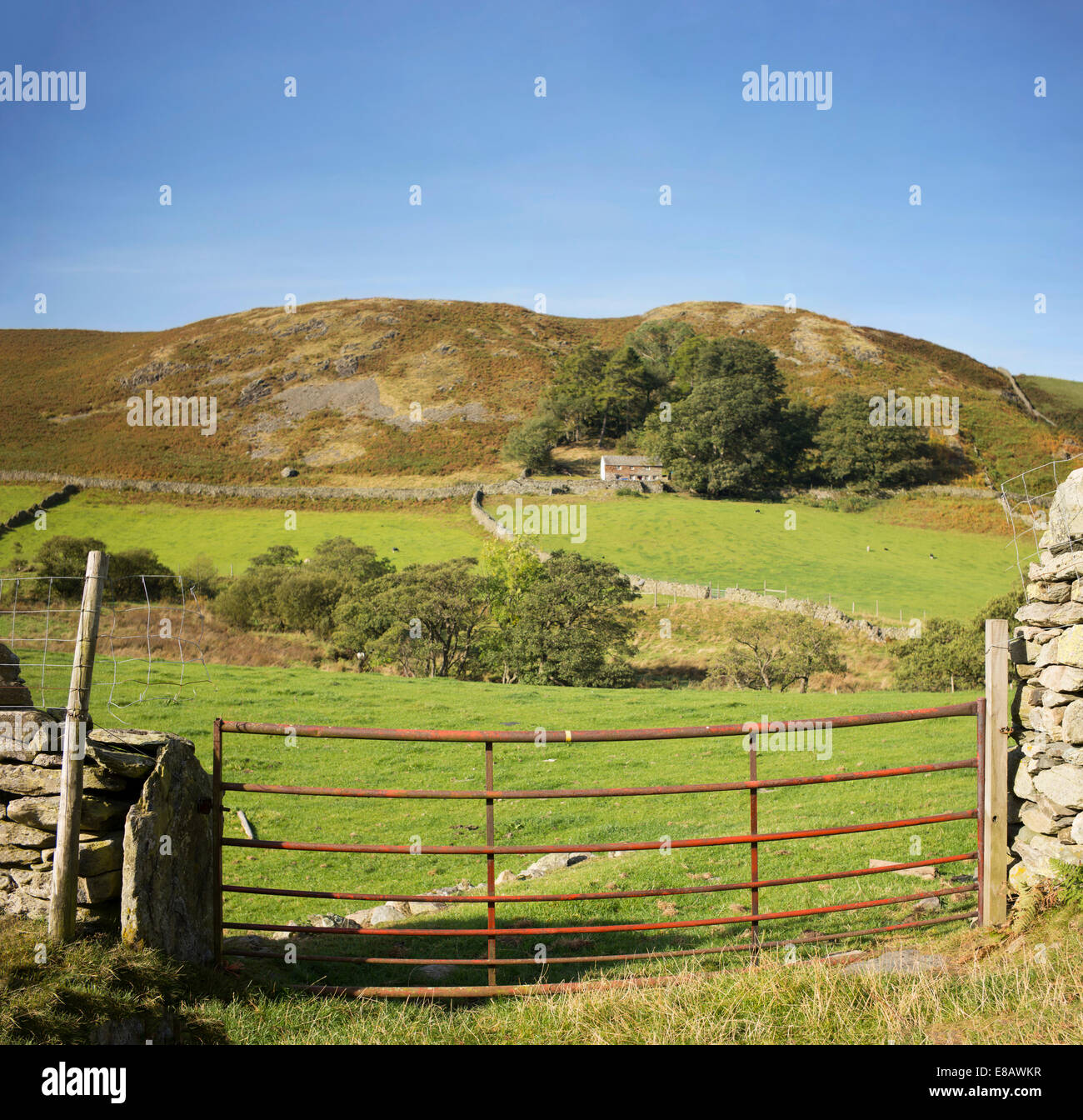 Hillside farm in Martindale Valley, English Lake District Stock Photo