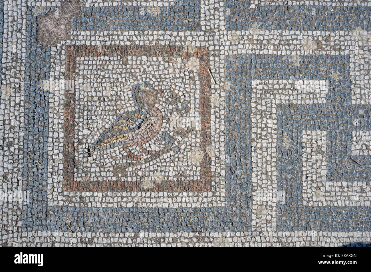 Ancient roman mosaic city of Kos Stock Photo Alamy
