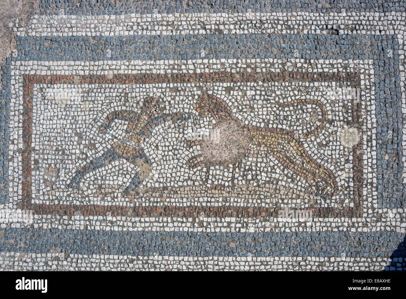 Ancient roman mosaic city of Kos Stock Photo Alamy