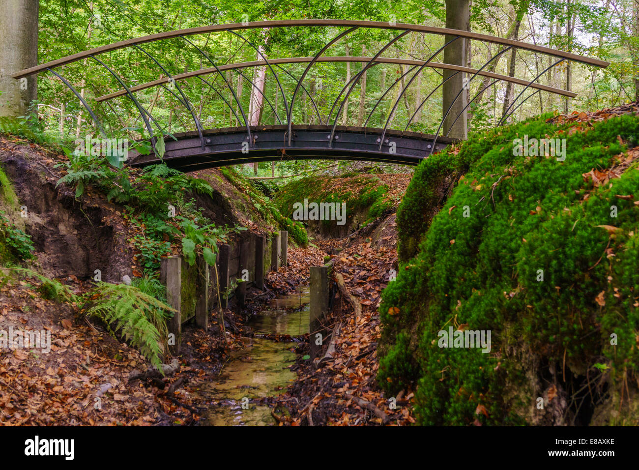 Small metal bridge over a stream in Dutch forest Stock Photo