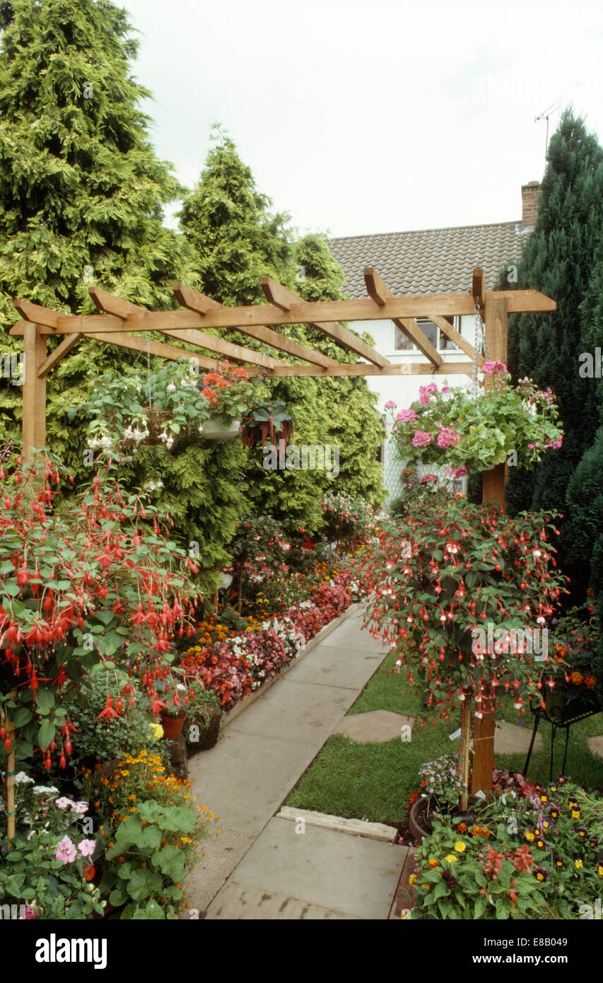 Pink fuchsias in hanging baskets on wooden pergola in suburban garden in  summer with colorful annuals on either side of path Stock Photo - Alamy