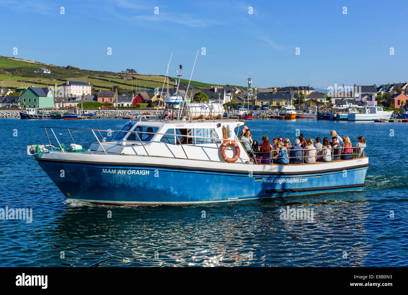 Tourist returning from a Dingle Dolphin sightseeing trip, Dingle, Dingle Peninsula, County Kerry, Republic of Ireland Stock Photo