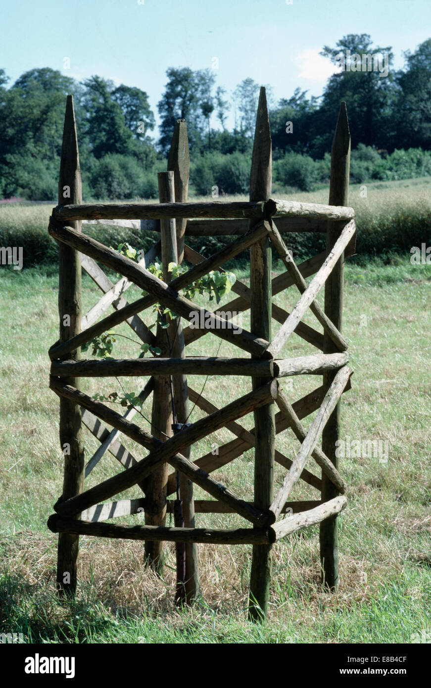 Tree guard hires stock photography and images Alamy