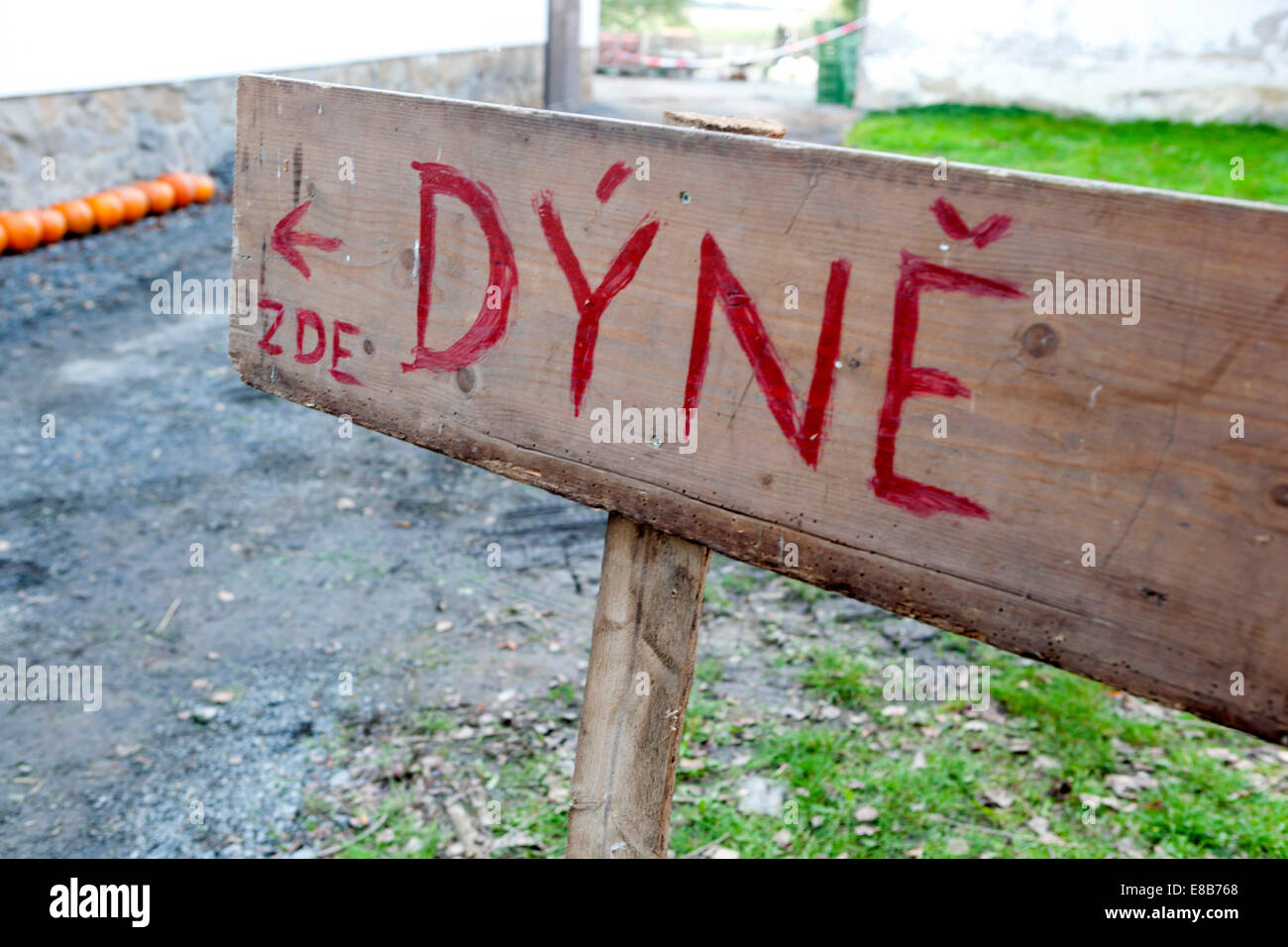 Pumkins ( Czech Dyne) here sign Stock Photo