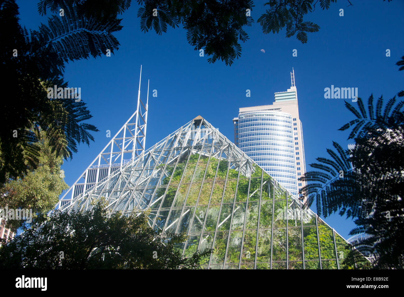 Royal Botanic Gardens Sydney Pyramid Glasshouse and skyscrapers skyline of CBD Central Business District Sydney NSW Australia Stock Photo