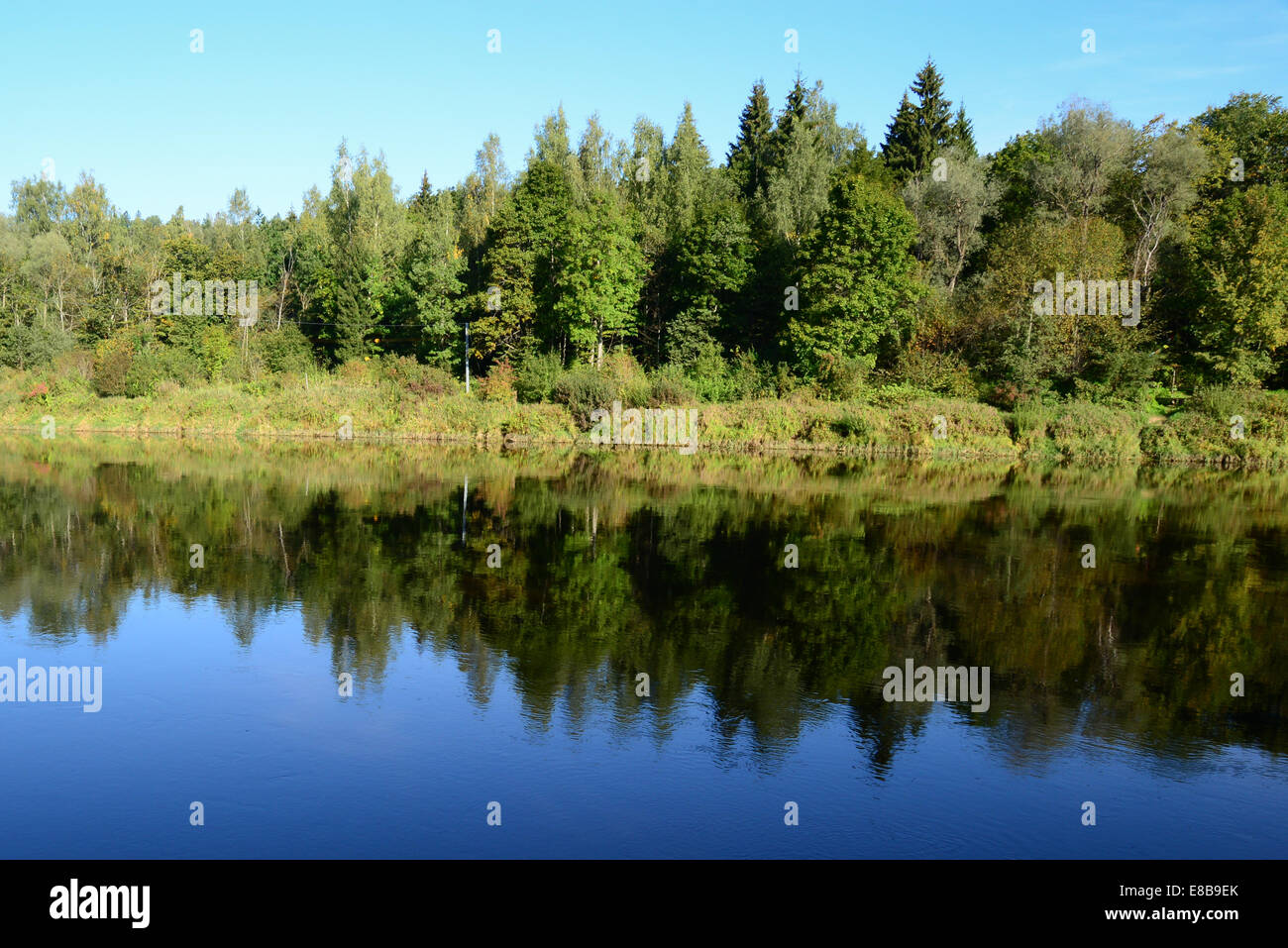 Trees symmetric reflection in a river Stock Photo