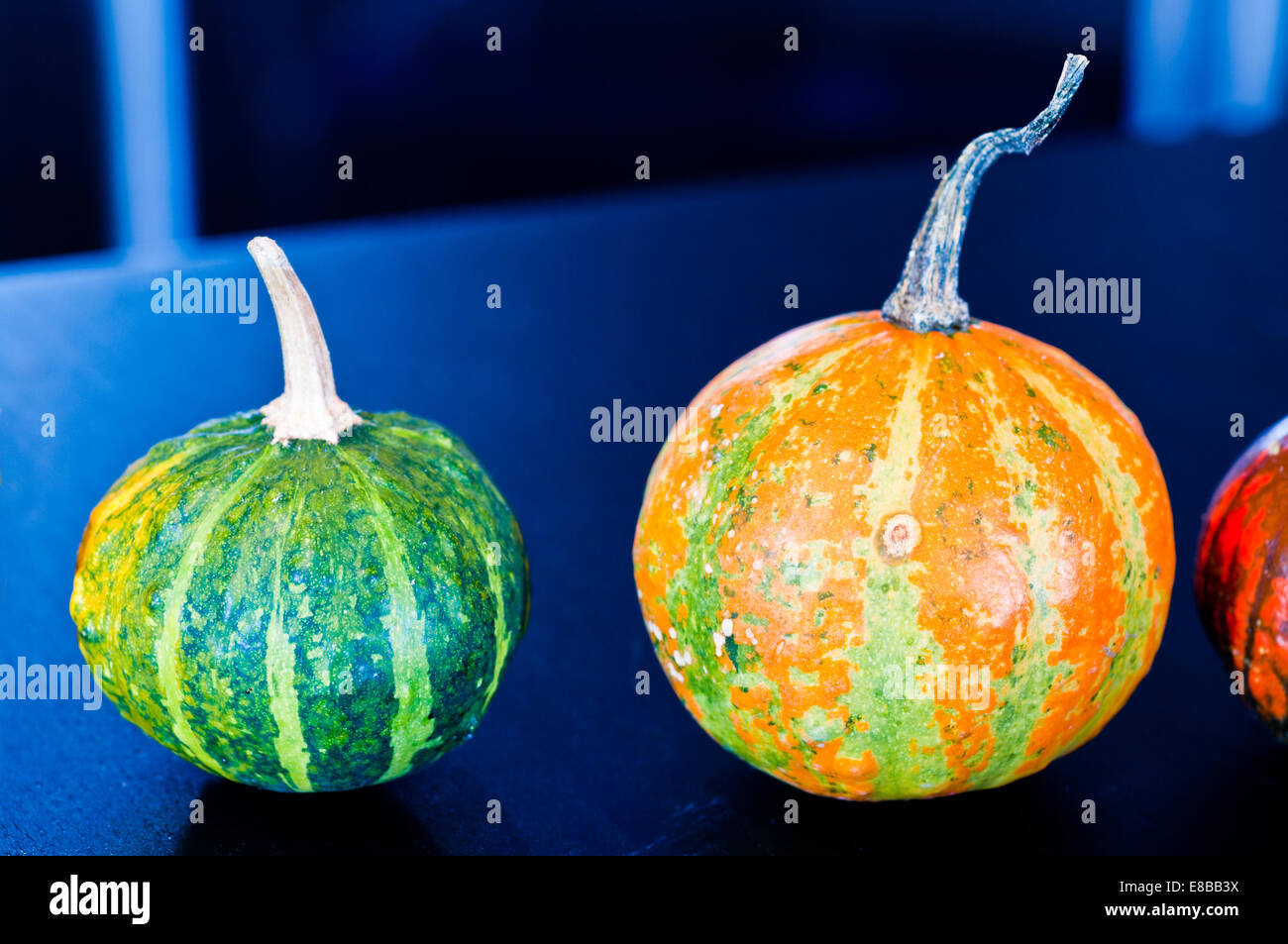 The famous halloween pumpkins accompany you to make jokes and ask for treats Stock Photo