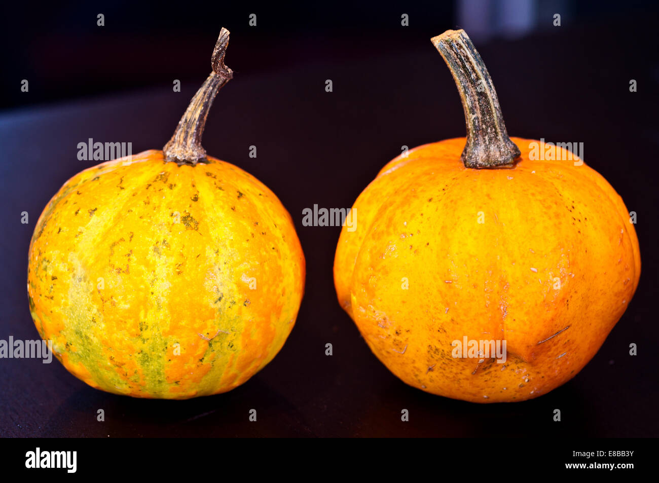The famous halloween pumpkins accompany you to make jokes and ask for treats Stock Photo