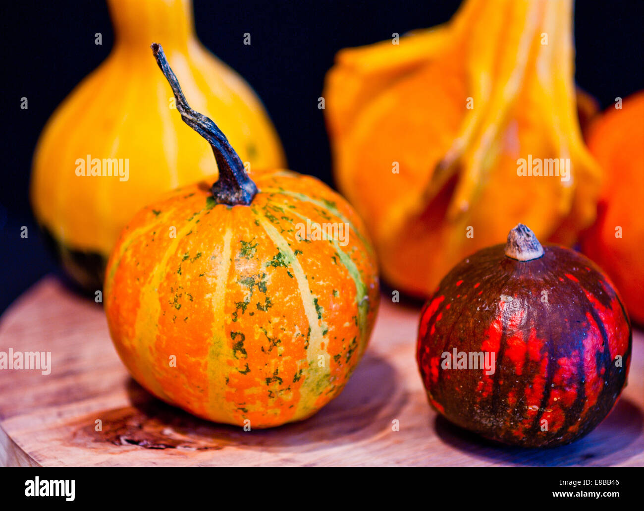 The famous halloween pumpkins accompany you to make jokes and ask for treats Stock Photo