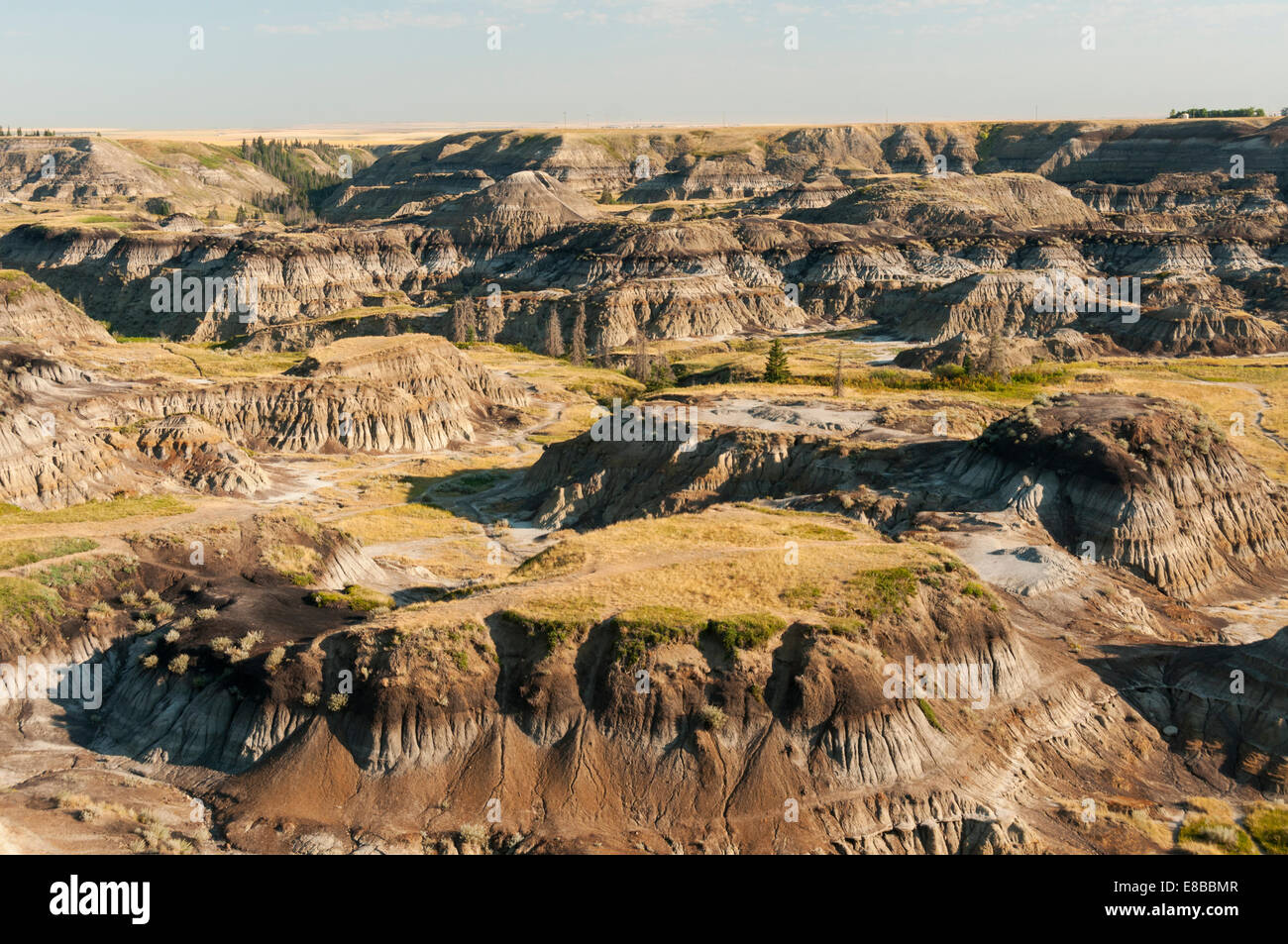 Elk203-6612 Canada, Alberta, Drumheller, Alberta Badlands Stock Photo