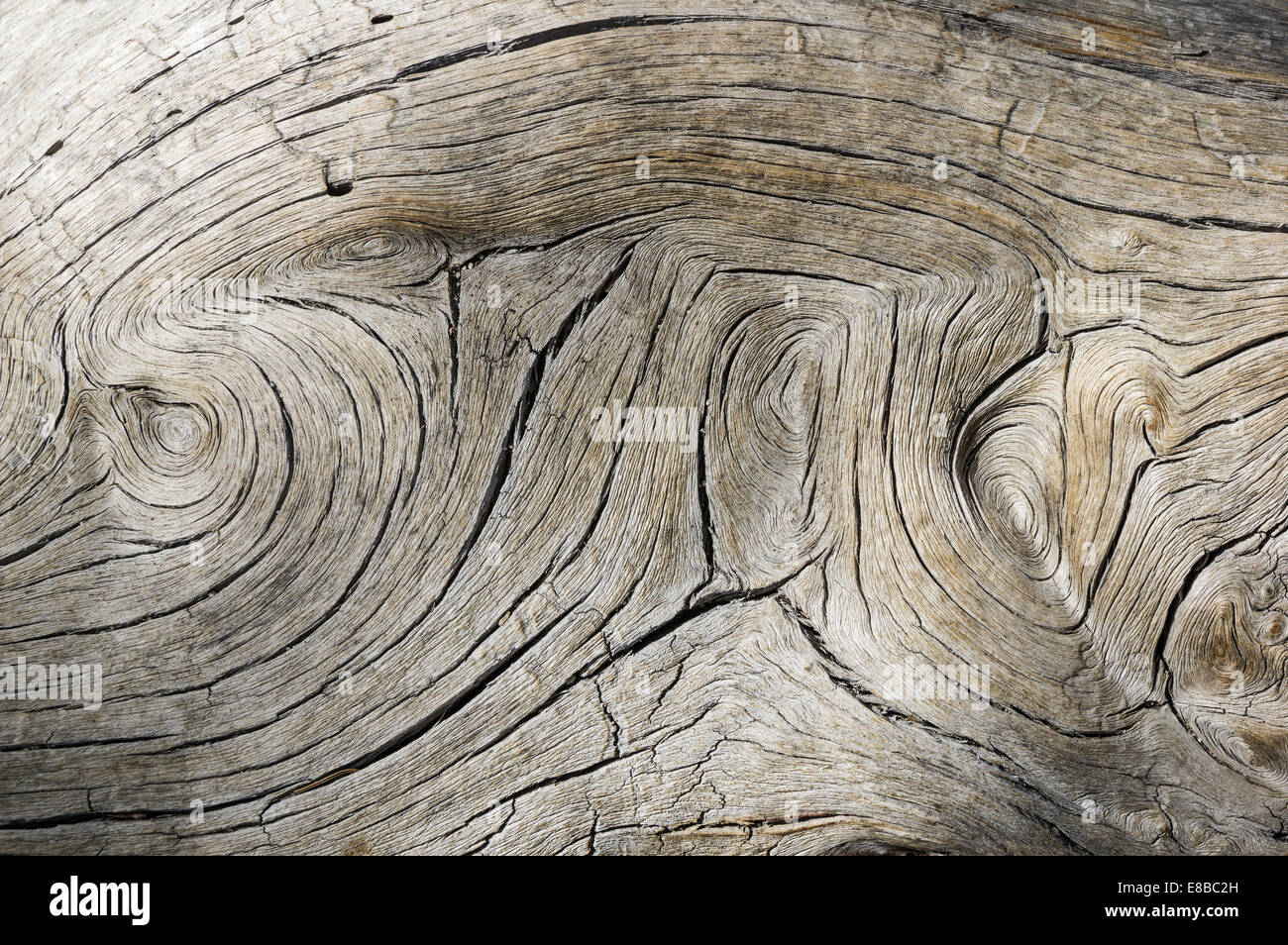 weathered gray wood with swirled grain background texture Stock Photo
