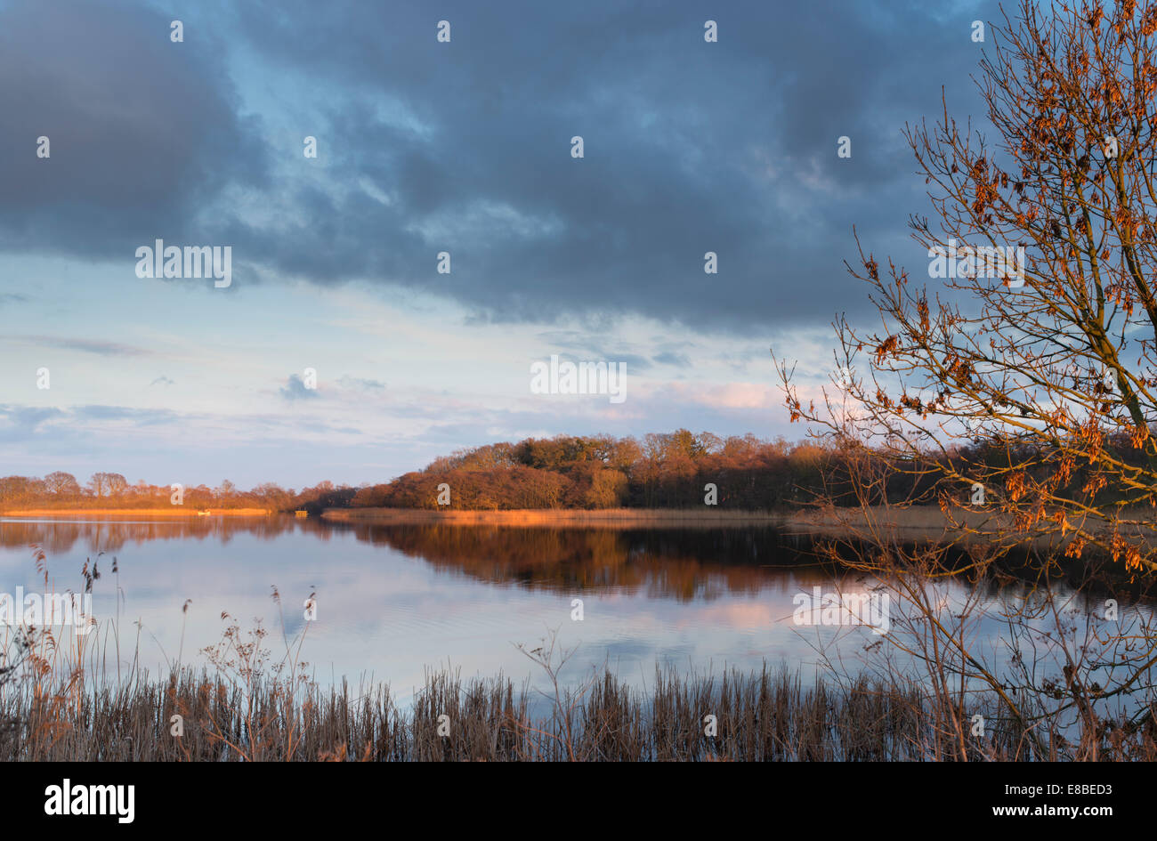 A view of Ormesby Broad in the Norfolk Broads Stock Photo Alamy