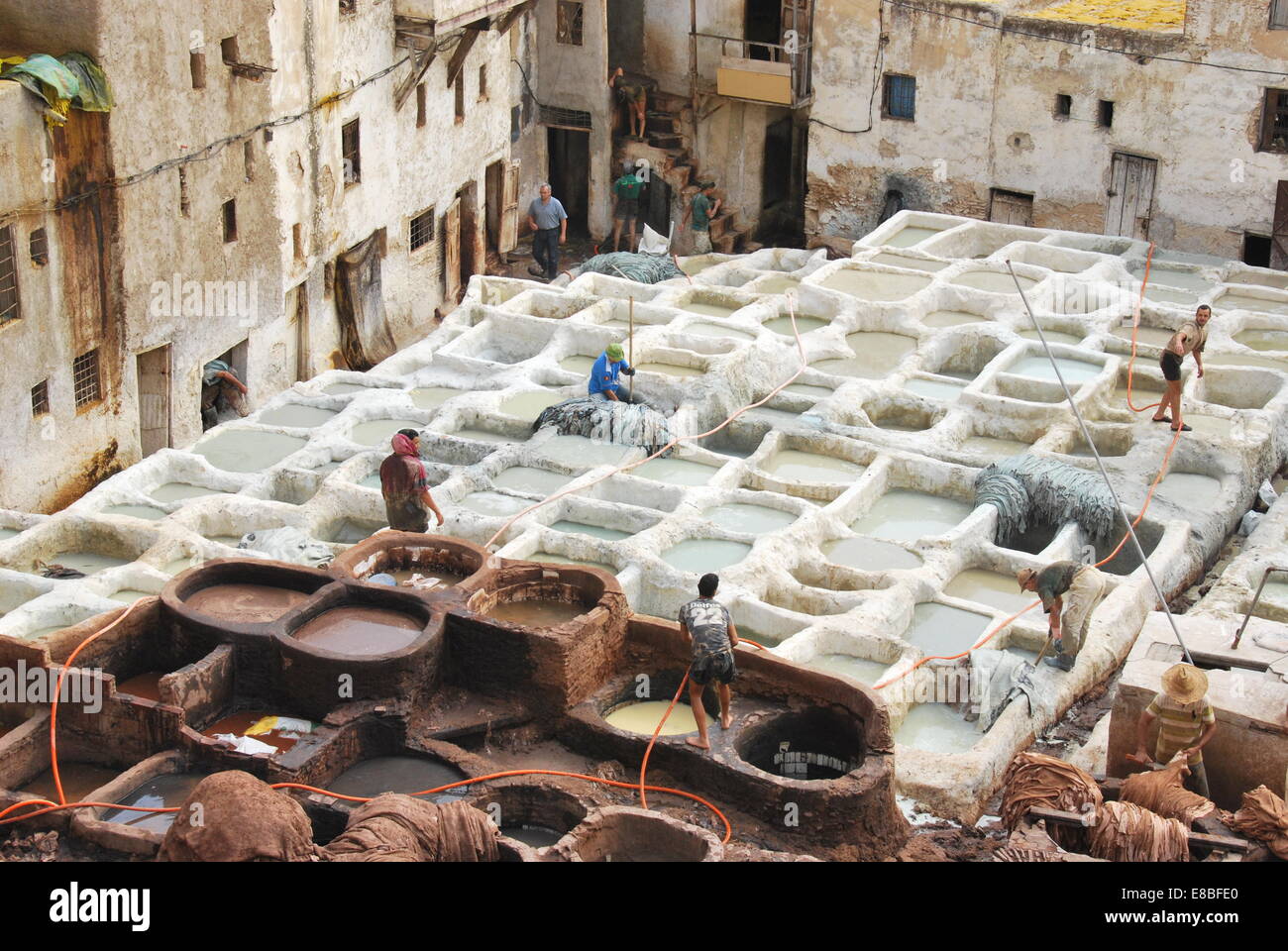 Morocco. Fez. Men in  tannery. Medina. Curing skins. Dyeing skins. UNESCO site. Lime pots. Natural Dyes. tourist attraction. Stock Photo