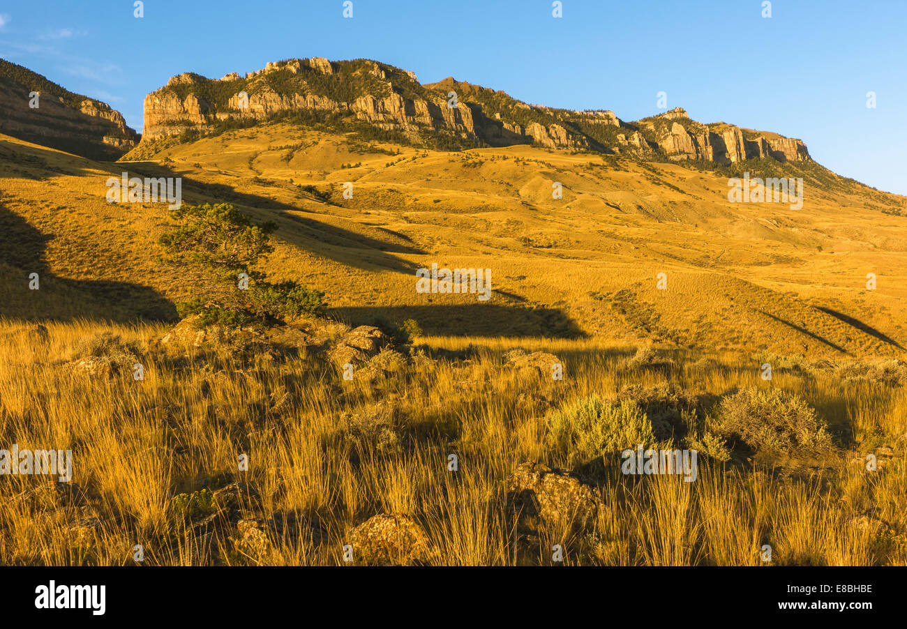 View across the rugged undulating landscape of Buffalo Bill State park showing the rocky mountains near Cody, USA. Stock Photo
