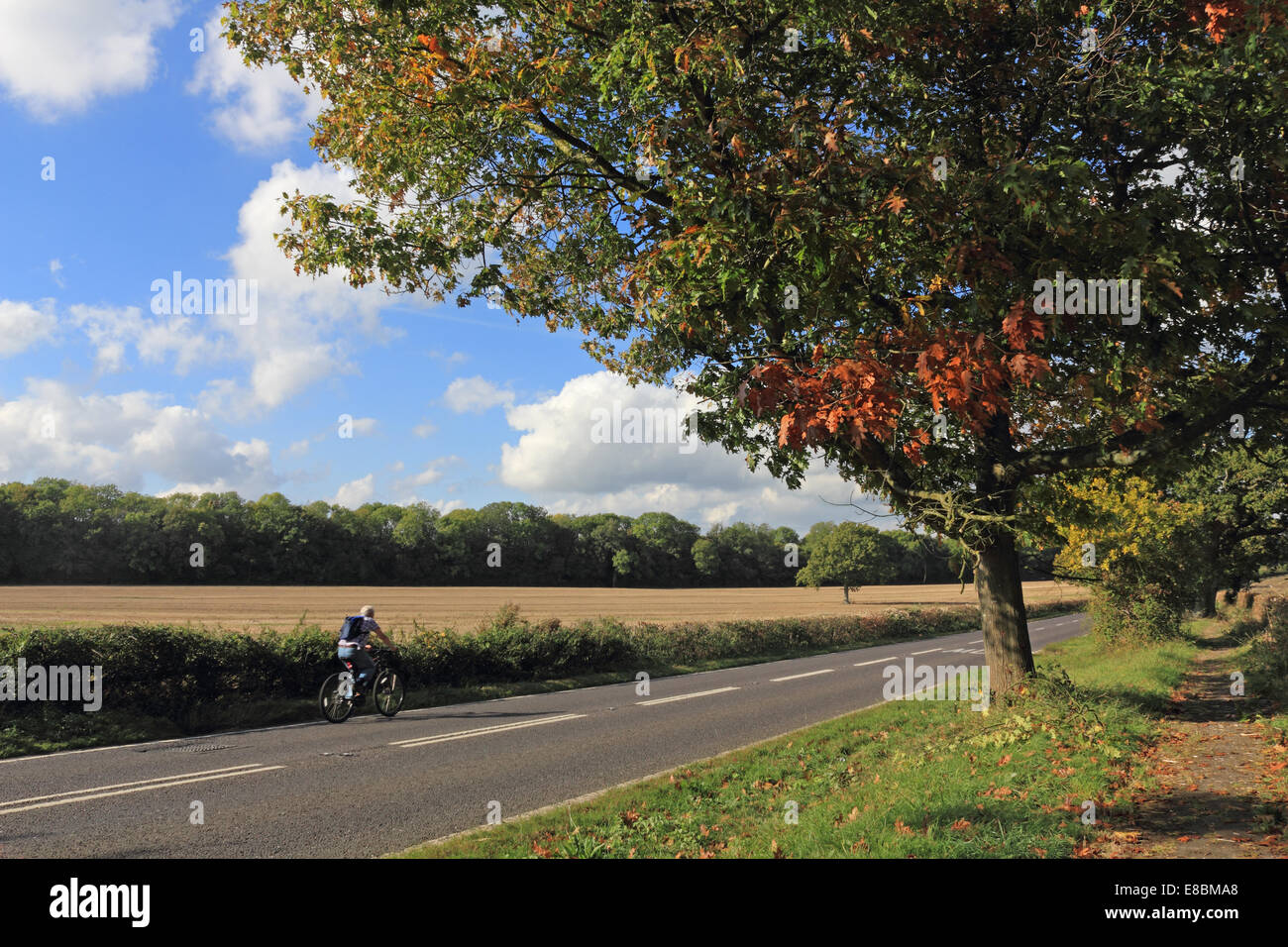 Cyclist on a straight open road at Cocking, West Sussex, UK. Stock Photo