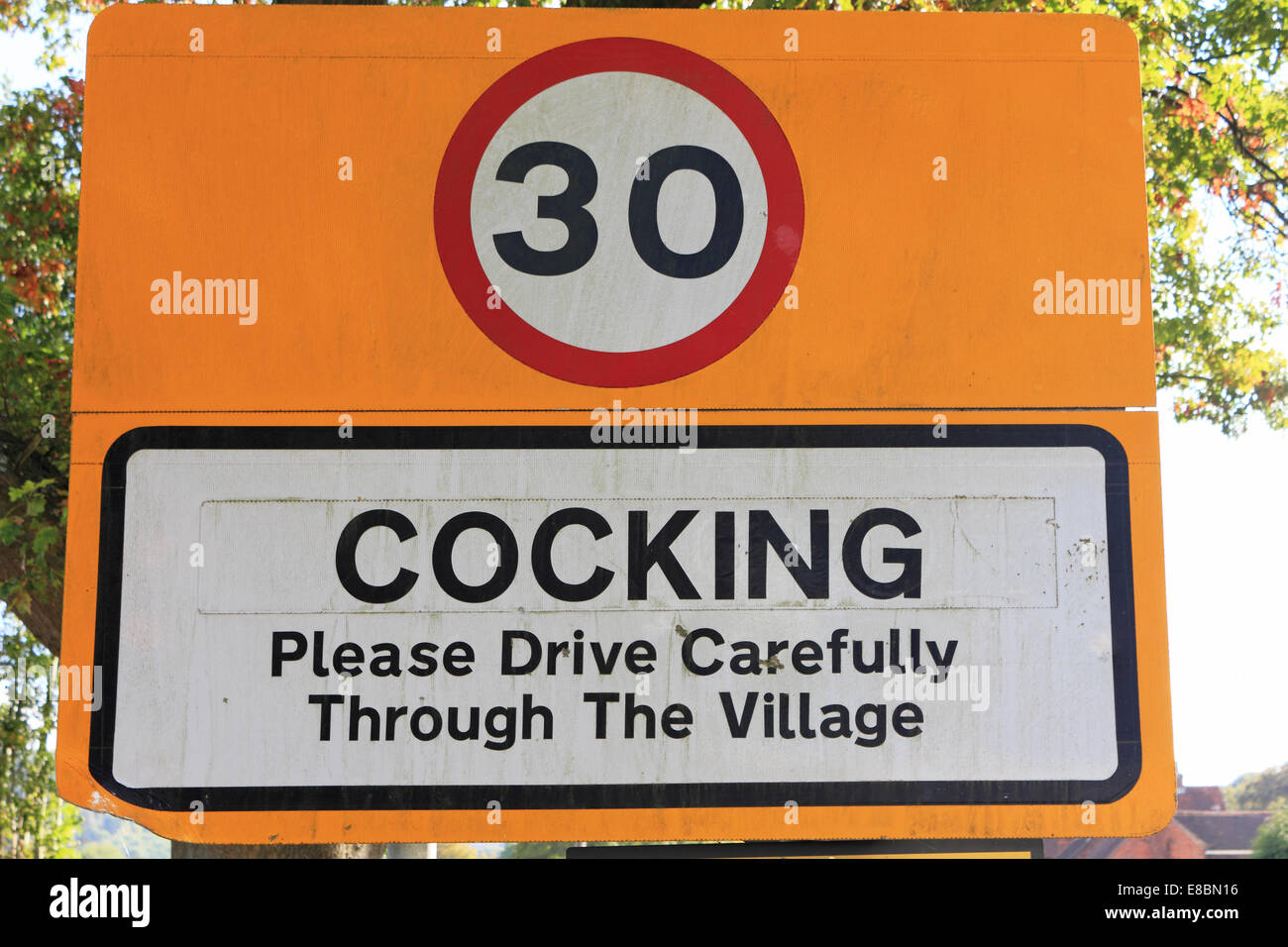 cocking-village-sign-west-sussex-england-uk-E8BN16.jpg