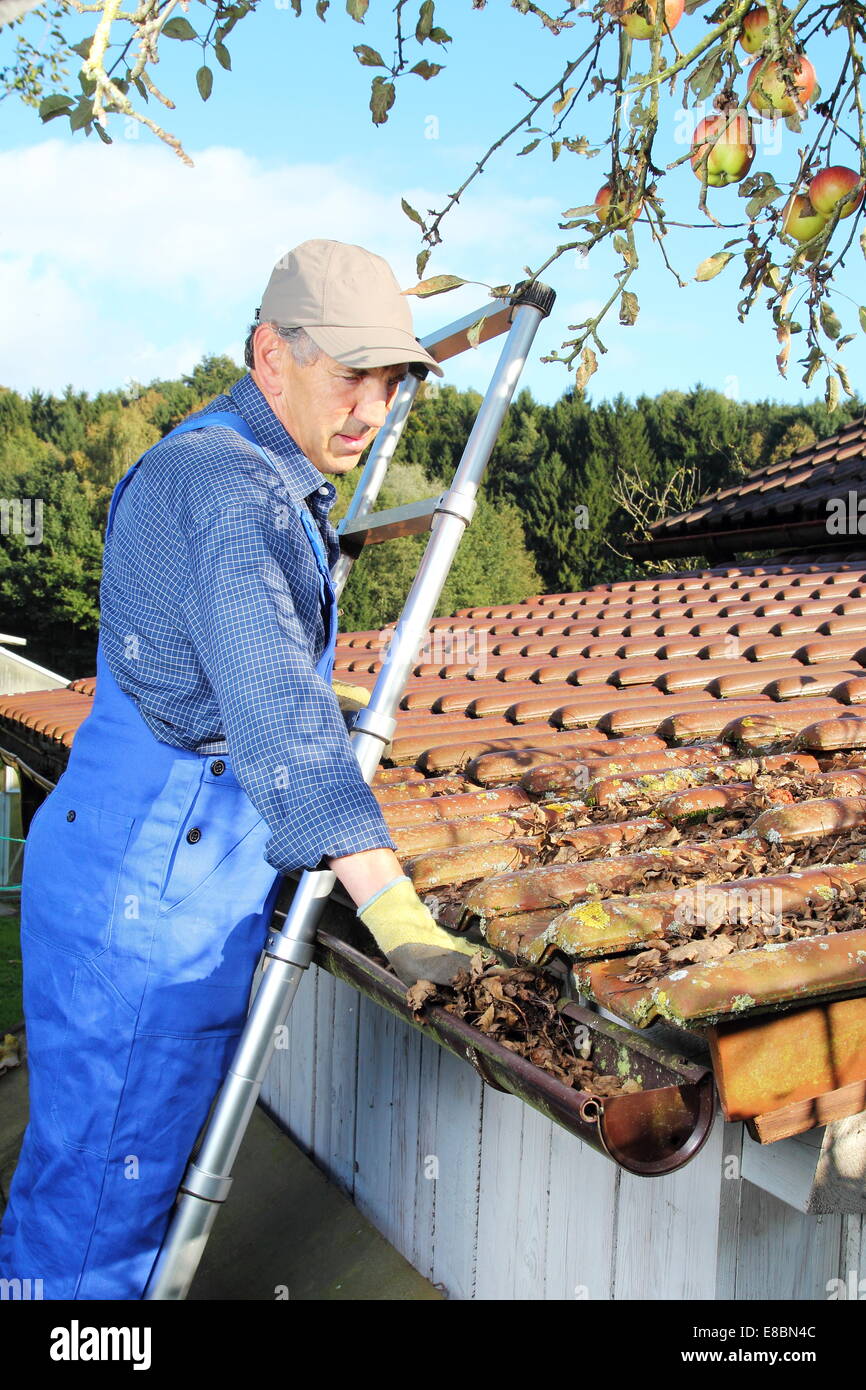 A Gardener cleaning a rain gutter from leaves Stock Photo