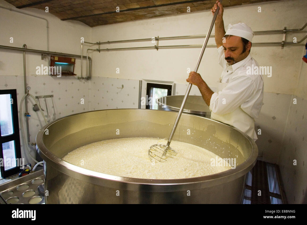 europe, italy, tuscany, crete senesi area, vergelle ranch, cheese