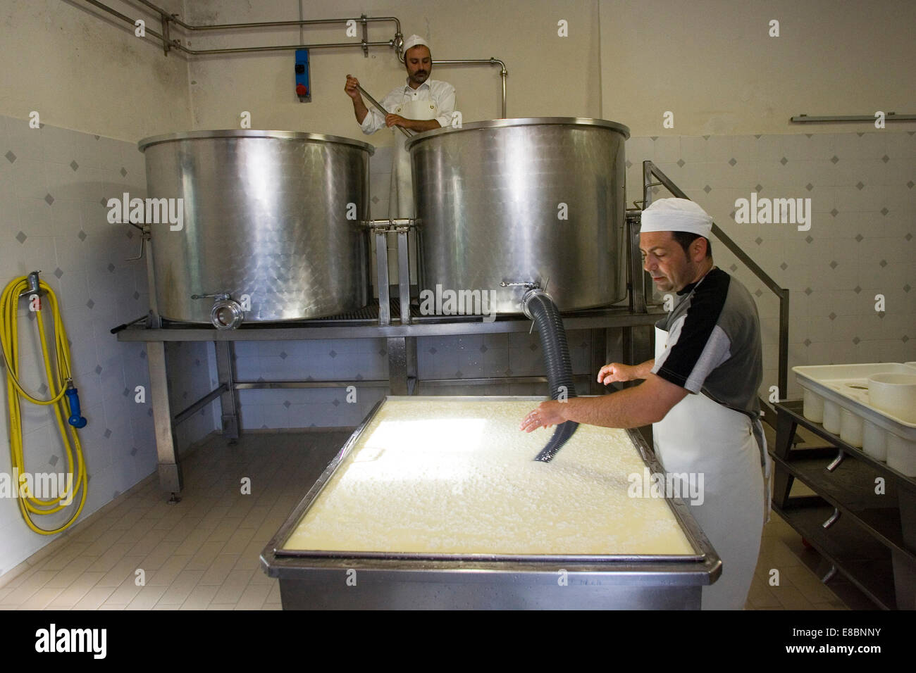 europe, italy, tuscany, crete senesi area, vergelle ranch, cheese