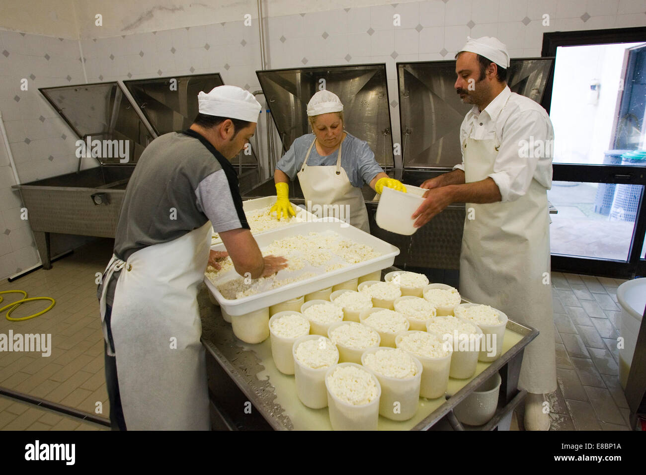 europe, italy, tuscany, crete senesi area, vergelle ranch, cheese