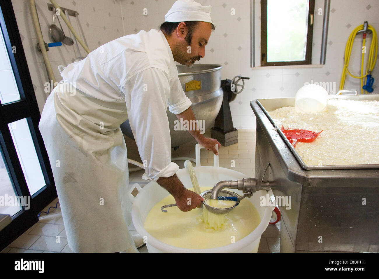 europe, italy, tuscany, crete senesi area, vergelle ranch, cheese