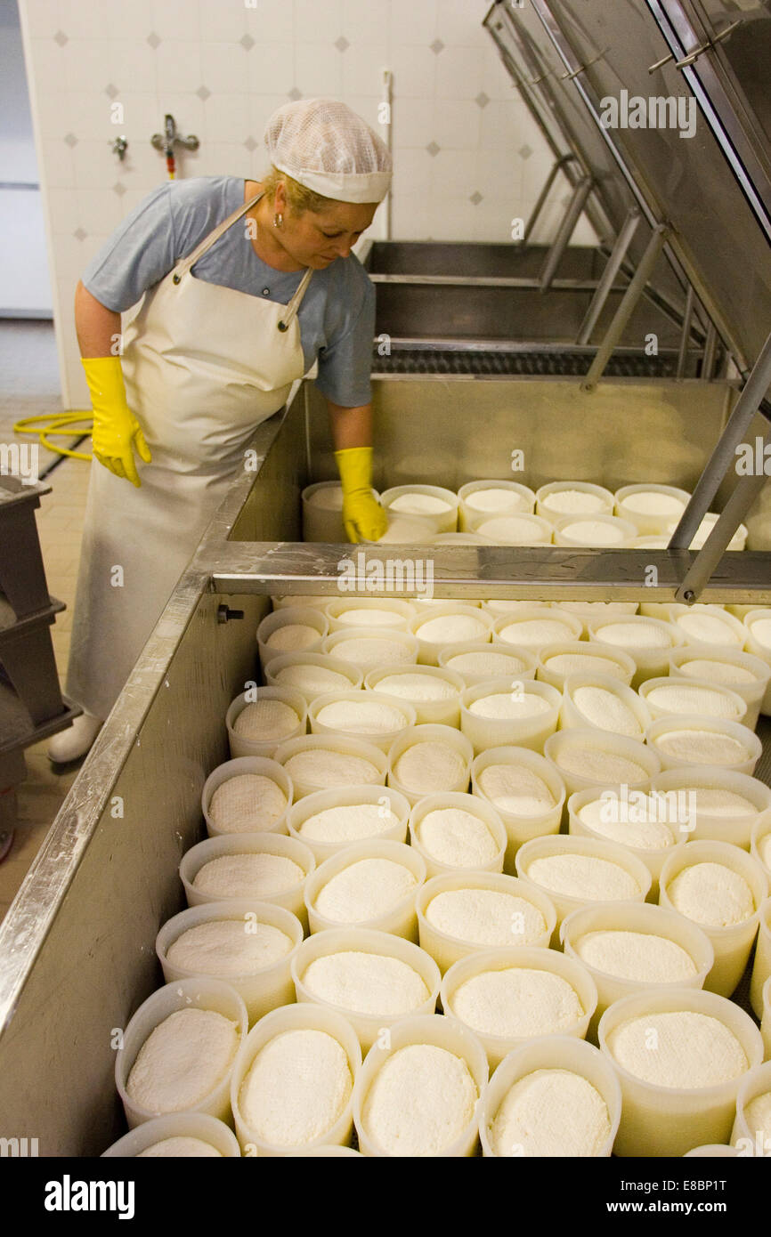 europe, italy, tuscany, crete senesi area, vergelle ranch, cheese