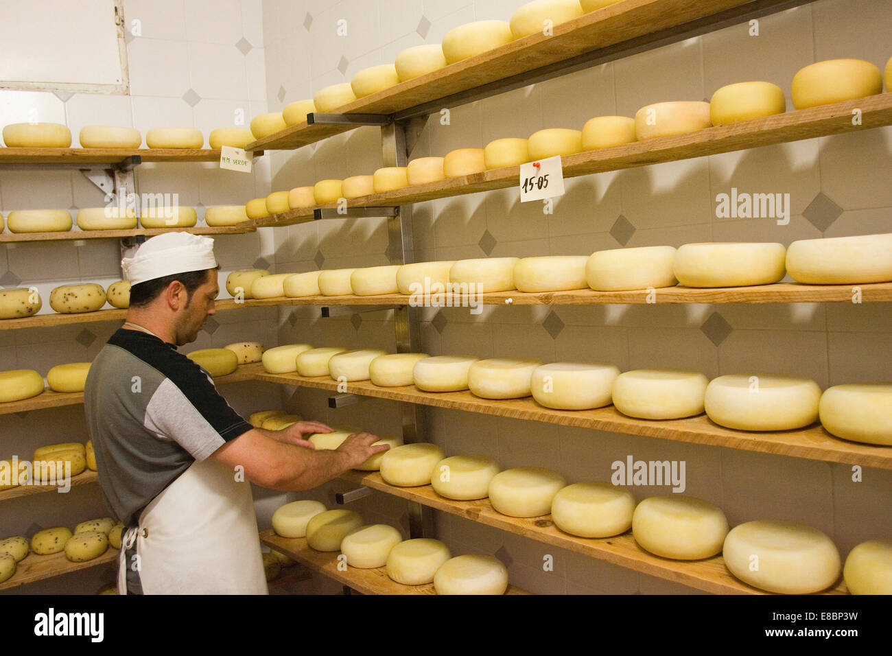 europe, italy, tuscany, crete senesi area, vergelle ranch, cheese