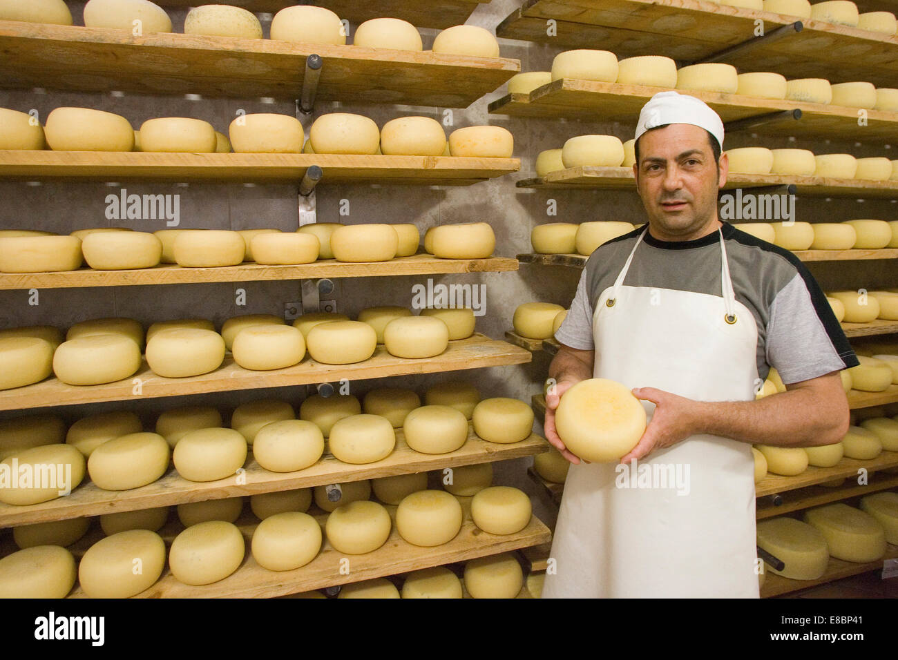 europe, italy, tuscany, crete senesi area, vergelle ranch, cheese