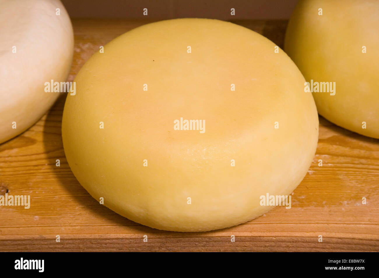 europe, italy, tuscany, crete senesi area, vergelle ranch, cheese